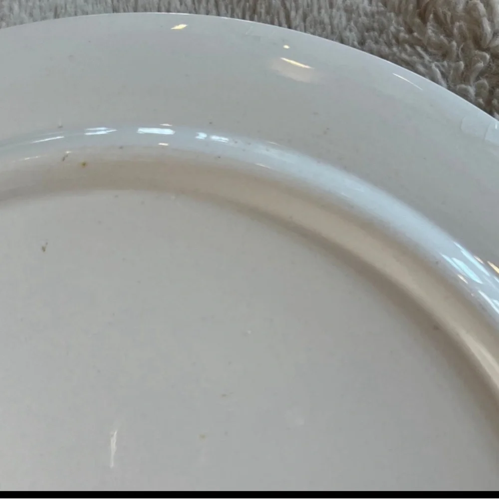 Eagle Brand Ironstone Ware Hand‎ Painted Fruit/Wine Serving Plate